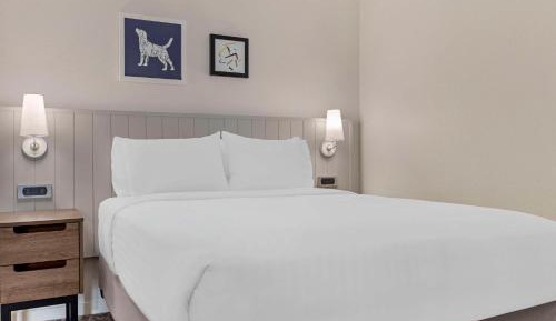 Mobility Accessible - Two-Bedroom Suite with Two Queens,Roll-In Shower