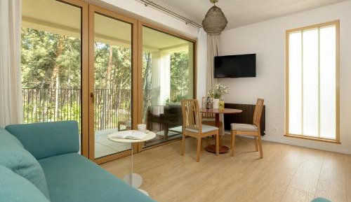 King Studio with Sofa Bed