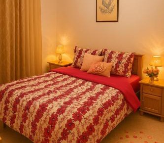 Deluxe One-Bedroom Apartment
