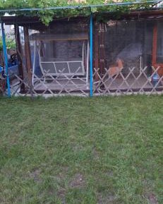 Studio with Garden View