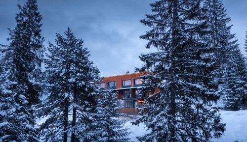 Double Room with Mountain View