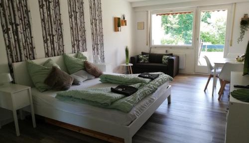 Superior One-Bedroom Apartment with Balcony