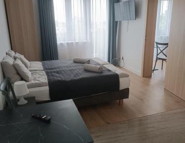 Two-Bedroom Family Apartment