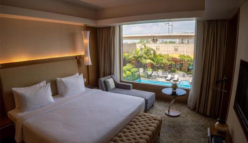 Suite- One Bedroom