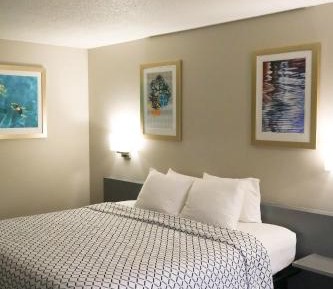 Standard King Room - Non-Smoking 