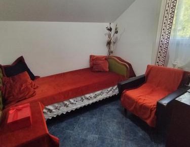 Single Room with Garden View