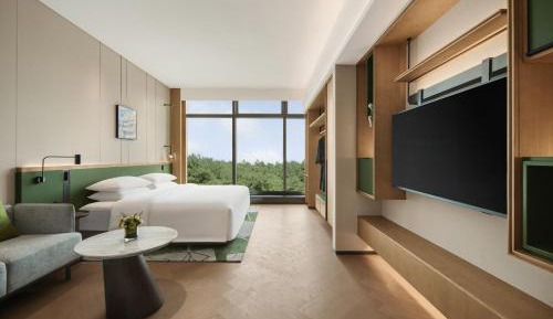 Deluxe Queen Room