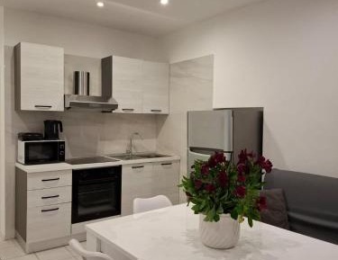 Two-Bedroom Family Apartment