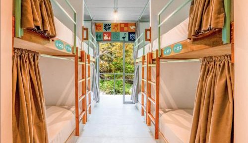 Bed in 8-Bed Mixed Dormitory Room