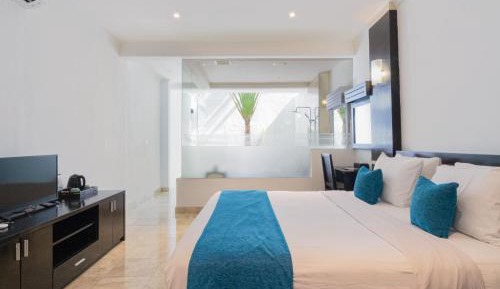 Junior Suite with Terrace