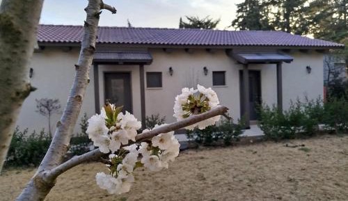 Family Suite with Balcony