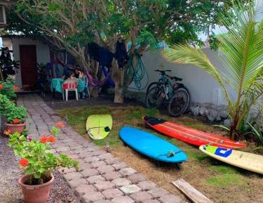 4-Bed Mixed Dormitory Room