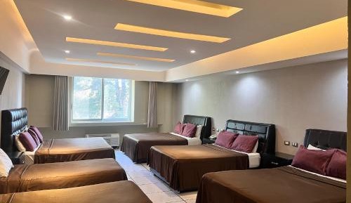 Superior Suite