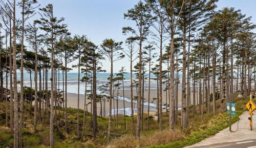 Four-Bedroom Deluxe Home - Oceanfront