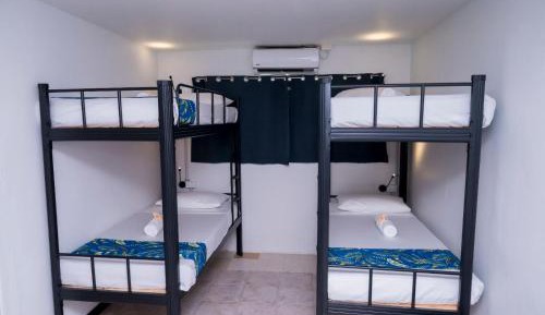 Bunk Bed in Male Dormitory Room 