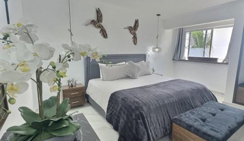 Deluxe One-Bedroom Apartment