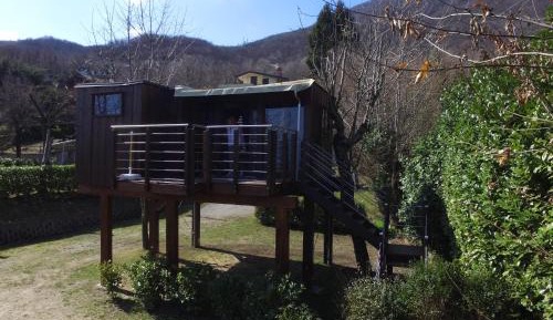Tree House with Balcony