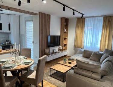 Deluxe One-Bedroom Apartment