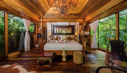 Jungle View Bungalow 