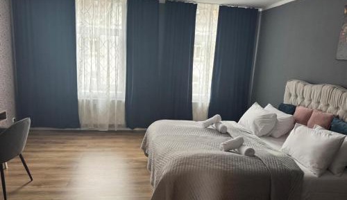 Deluxe One-Bedroom Apartment