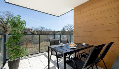Deluxe One-Bedroom Apartment