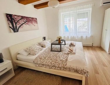 One-Bedroom Apartment with Terrace