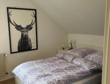 Single Room with Private Bathroom