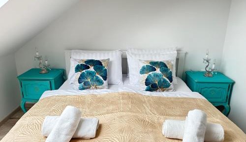 Superior Queen Room