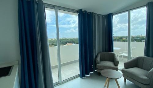Deluxe One-Bedroom Apartment