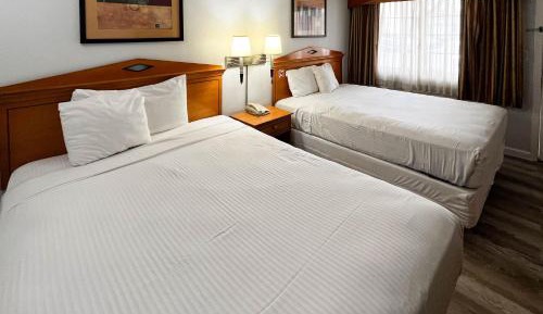 Queen Room with Two Queen Beds - Non-Smoking