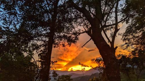 Double or Twin Room with Balcony