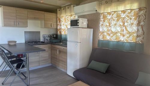 Mobile Home