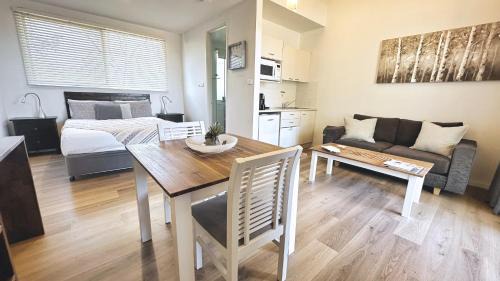 Studio with Terrace