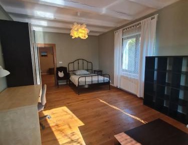 Large Double or Twin Room