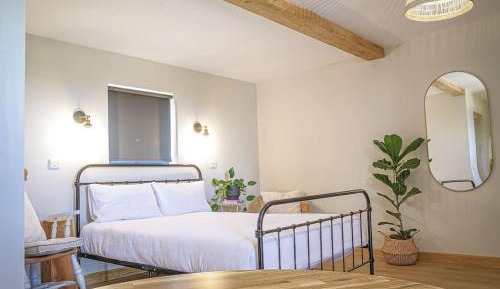 One-Bedroom Apartment - Non-Smoking