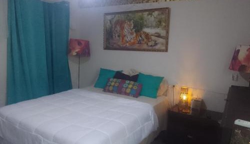 One-Bedroom Standard Apartment