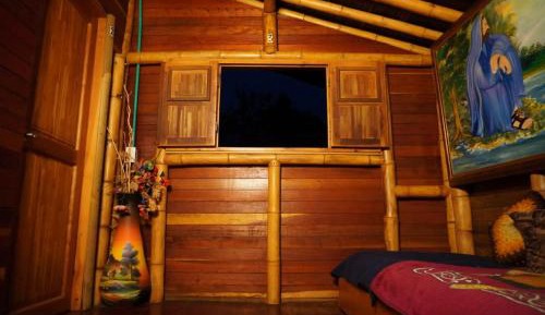 Single Room with Garden View