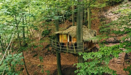 Treehouse