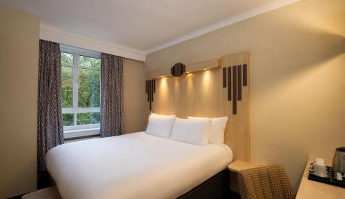 King Room with Garden View