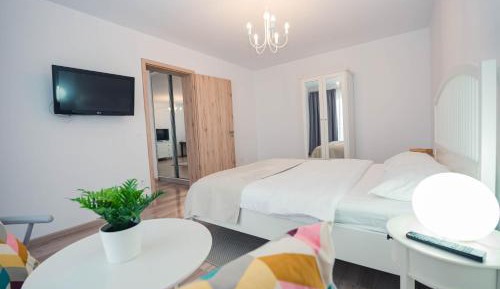 One-Bedroom Premier Apartment