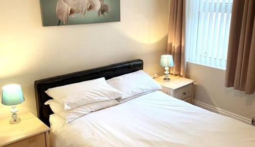 One-Bedroom Standard Apartment