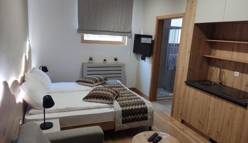 Studio with Sofa Bed