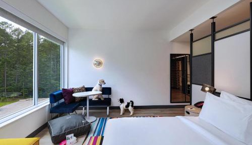 Dog Lover's, Guest room, 1 King
