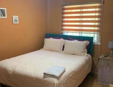 Budget Single Room