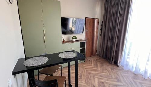 Deluxe One-Bedroom Apartment