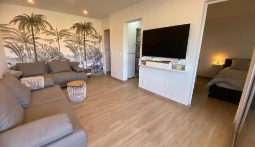 Deluxe One-Bedroom Apartment with City View