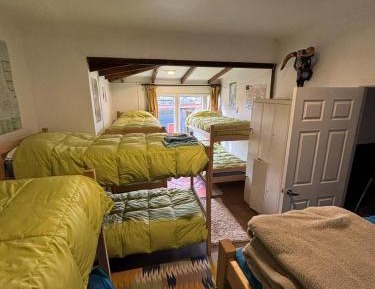 Bunk Bed in Mixed Dormitory Room
