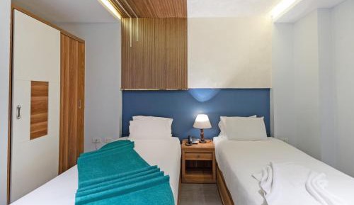 Superior Deluxe Double or Twin Room 