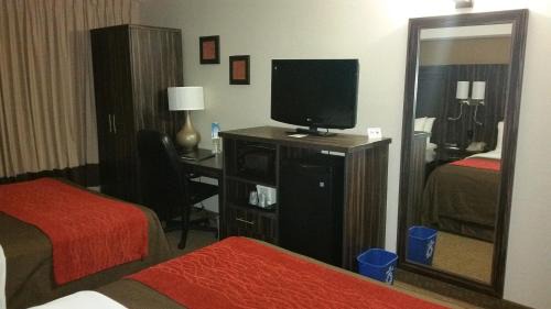 Queen Room with Two Queen Beds - Ground Floor - Pet-Friendly