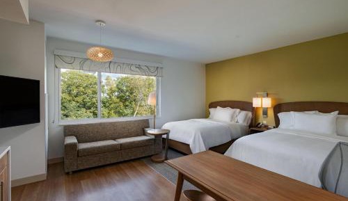 Studio, 2 Queen, Sofa bed